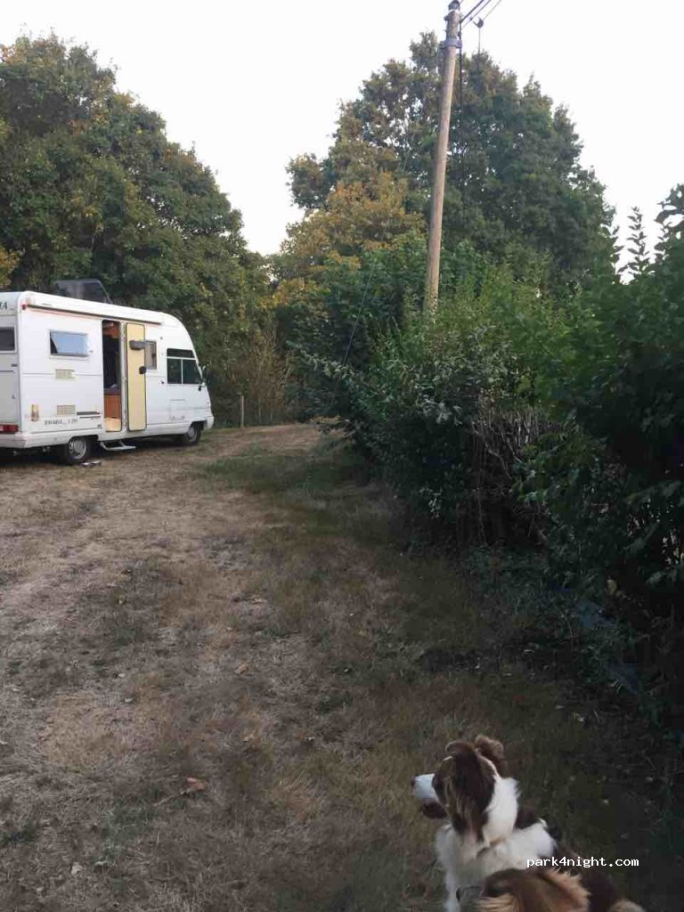 (85150) Le Girouard - D80 — foto