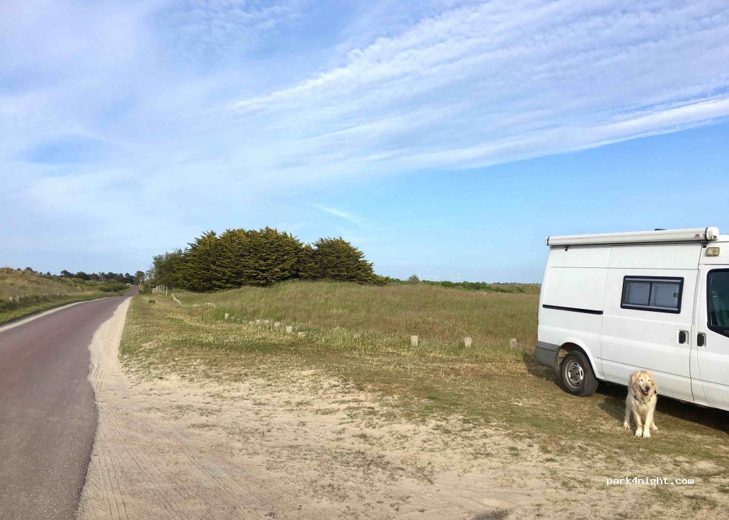 (50580) Saint-Rémy-des-Landes - Les Mielles d'Allonne — foto