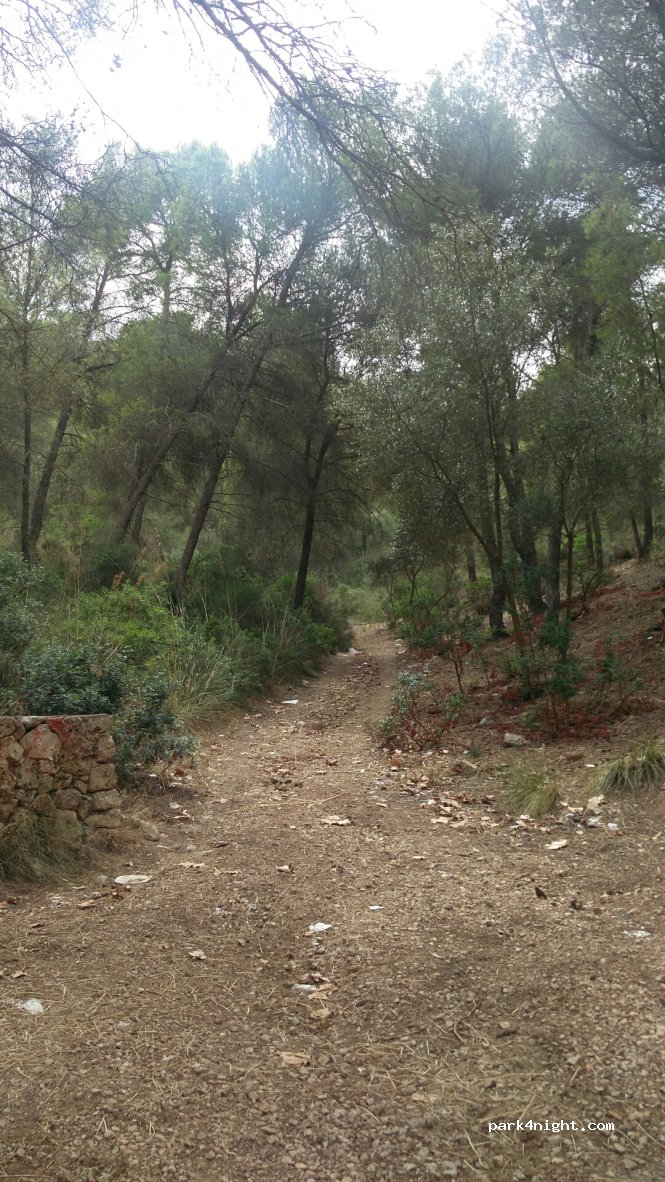 (07550) Son Servera - 76 Carrer del Doctor Servera — foto 2