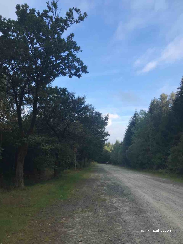(94253) Bischofsmais - 1 REG5 — foto 2