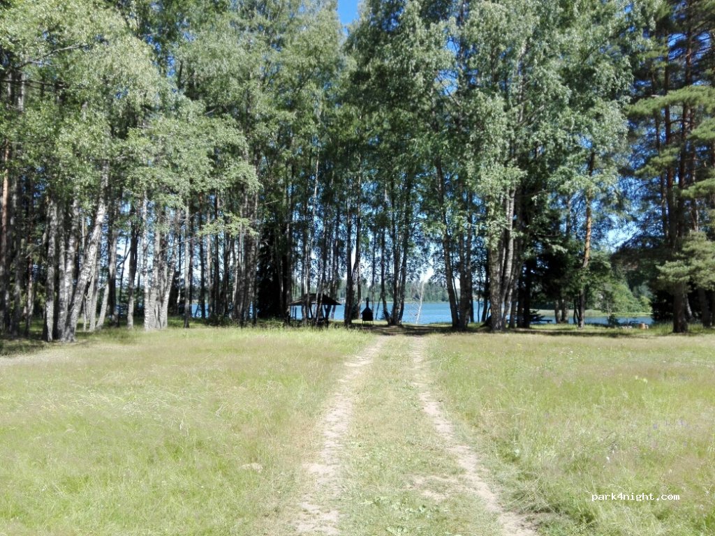 (62016) Palumäe - — foto 3