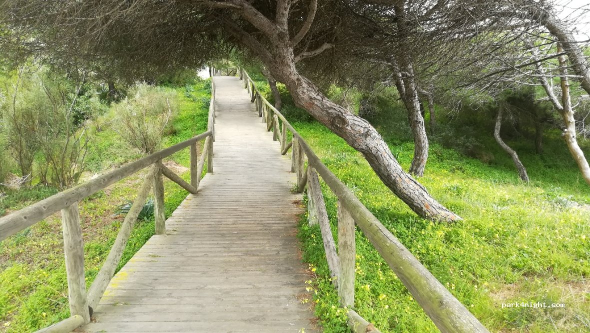 (11520) Rota - 13 Avenida Punta Candor — foto