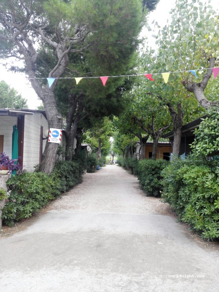 Camping Delle Rose — foto