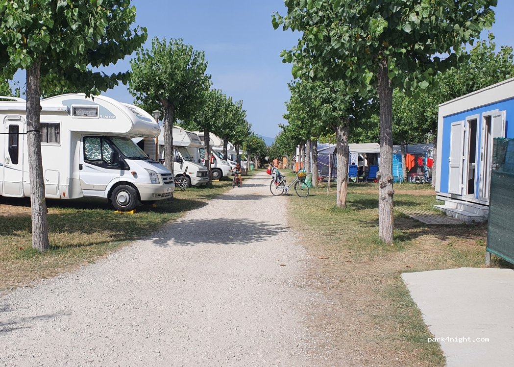 Camping Delle Rose — foto 3