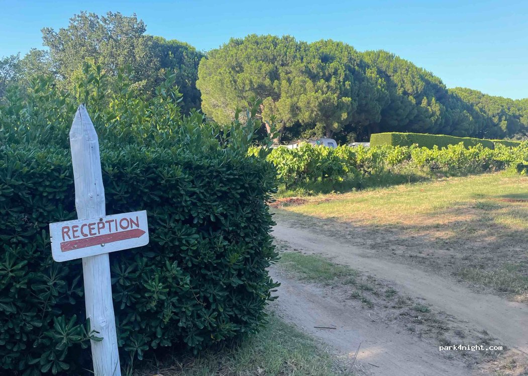 Camping à la ferme chez Marcel — foto 4