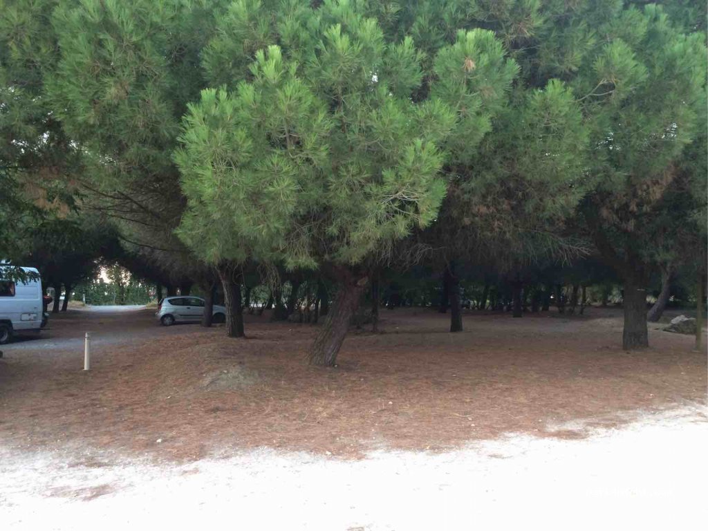 (17139) Dompierre-sur-Mer - Fief des Maquins — foto 2
