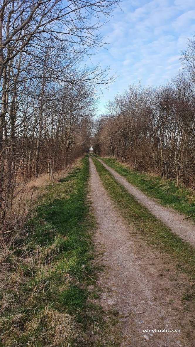 (9700) Brønderslev - 67 Sneppevej — foto 2