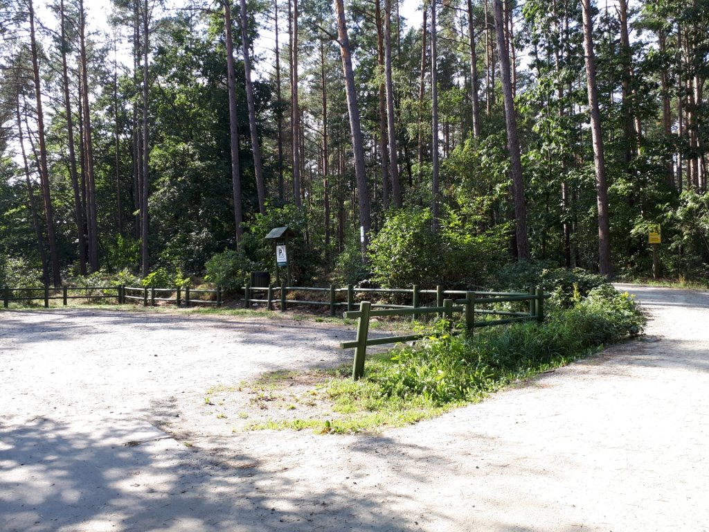 (82)  - Droga Wojewódzka 501 — foto