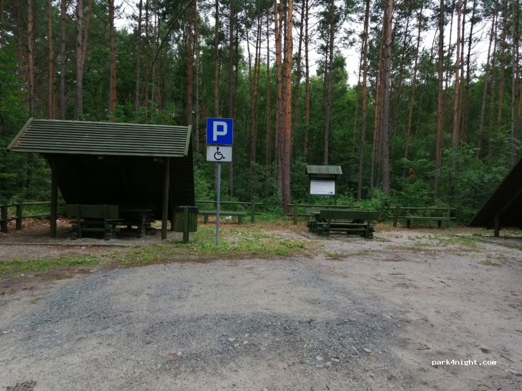 (82)  - Droga Wojewódzka 501 — foto 2