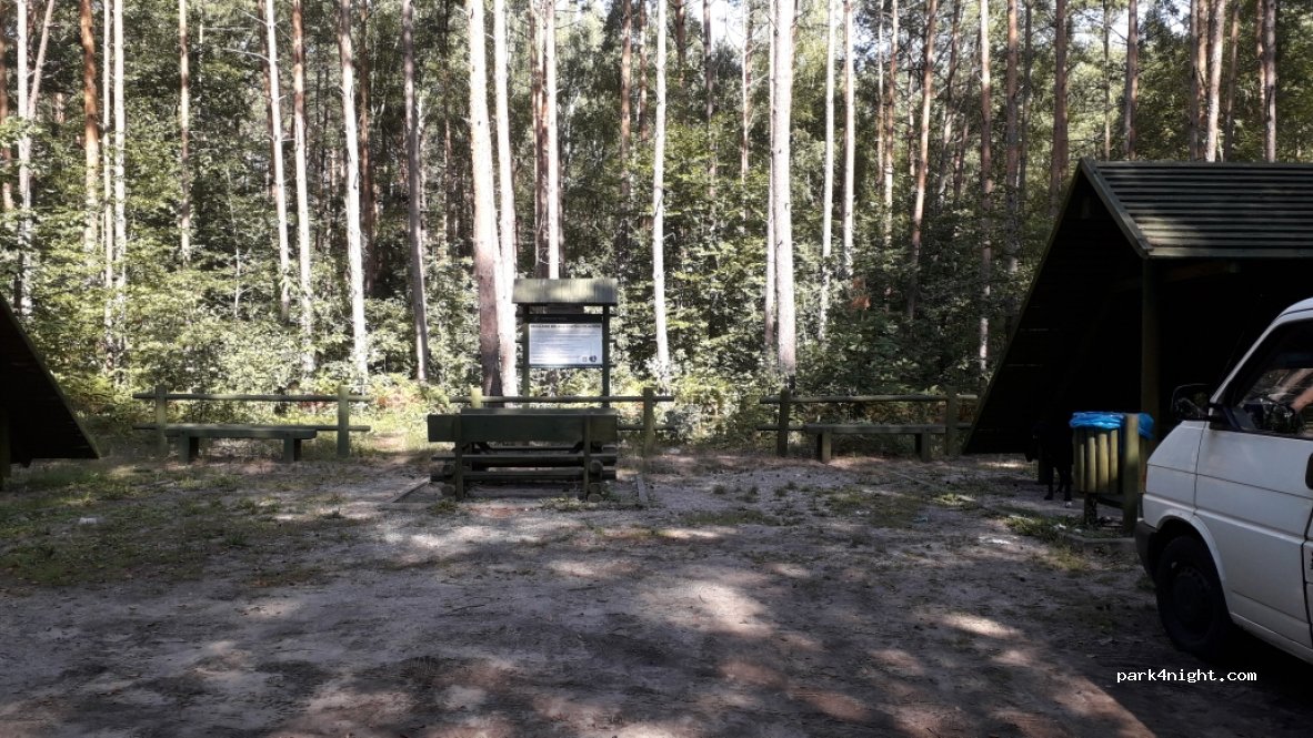 (82)  - Droga Wojewódzka 501 — foto 3