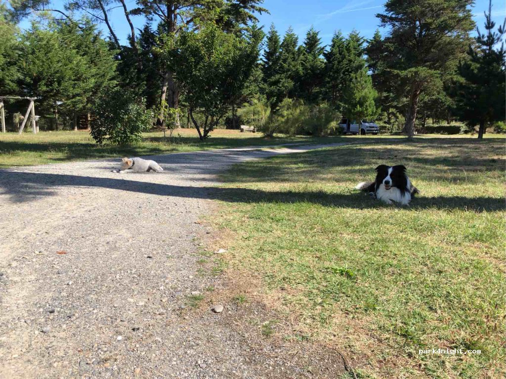 Les gîtes de Kergaret — foto 3