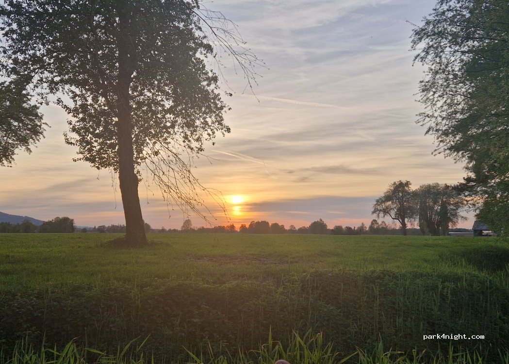 (6972) Fußach - Fischerstraße — foto 4