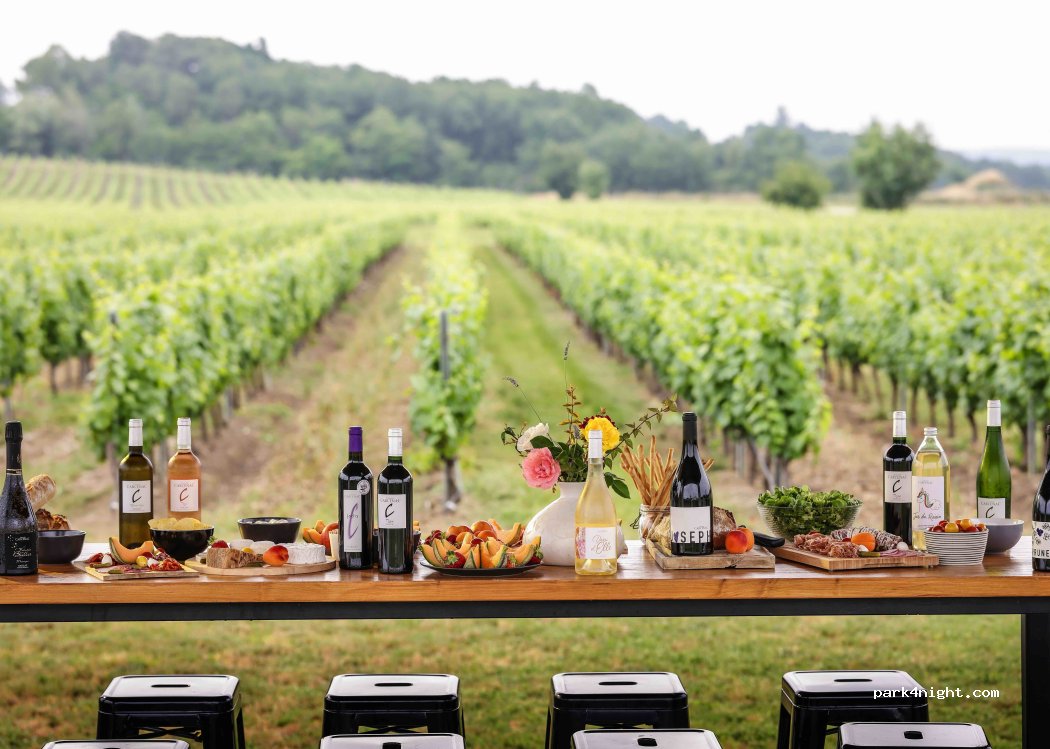 Domaine Carcenac — foto 2