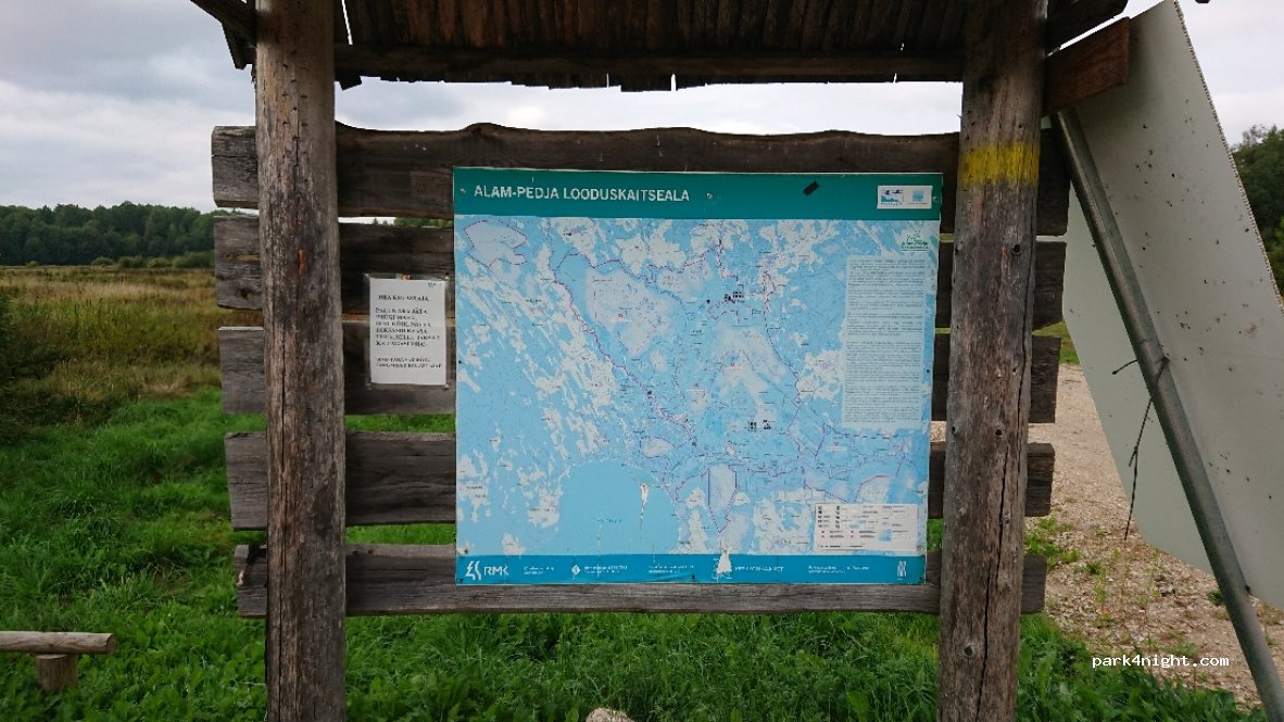 (49005) Jüriküla - Puurmani-Jüriküla-Kirna — foto 3