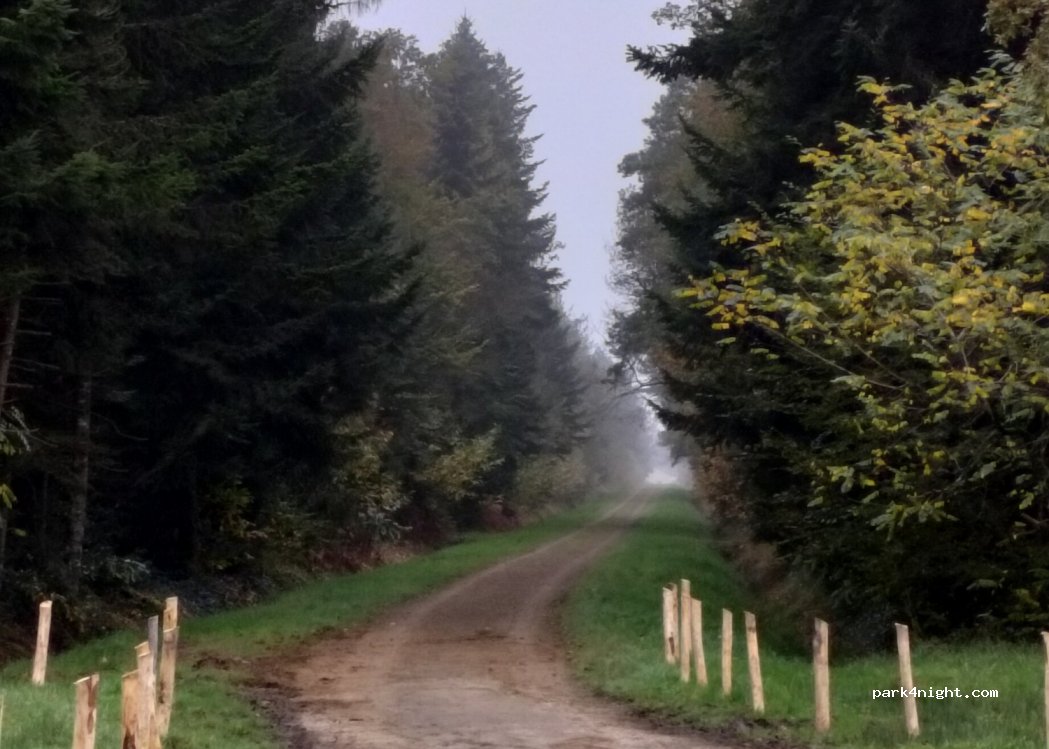 (35340) Liffré - La Martois — foto 5