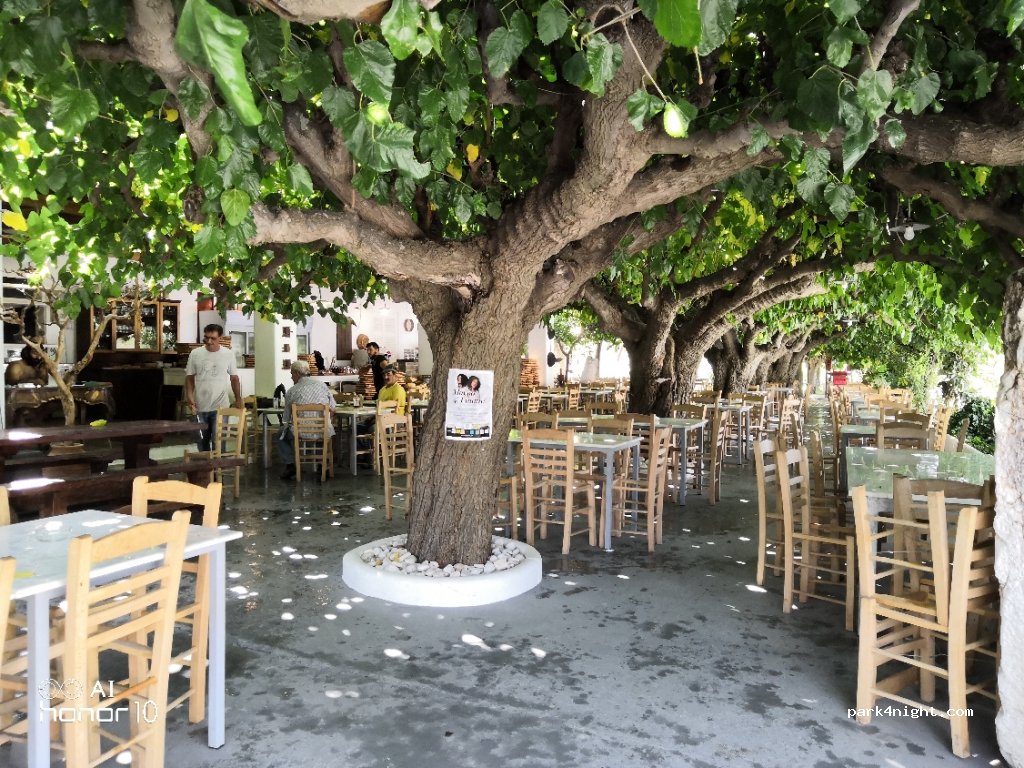 (340 07) Skiros - Eparchiaki Odos Kalikri-Kalamitsa — foto 4