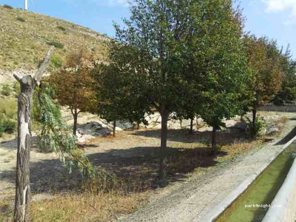 (50196) La Muela - Unnamed Road — foto 3
