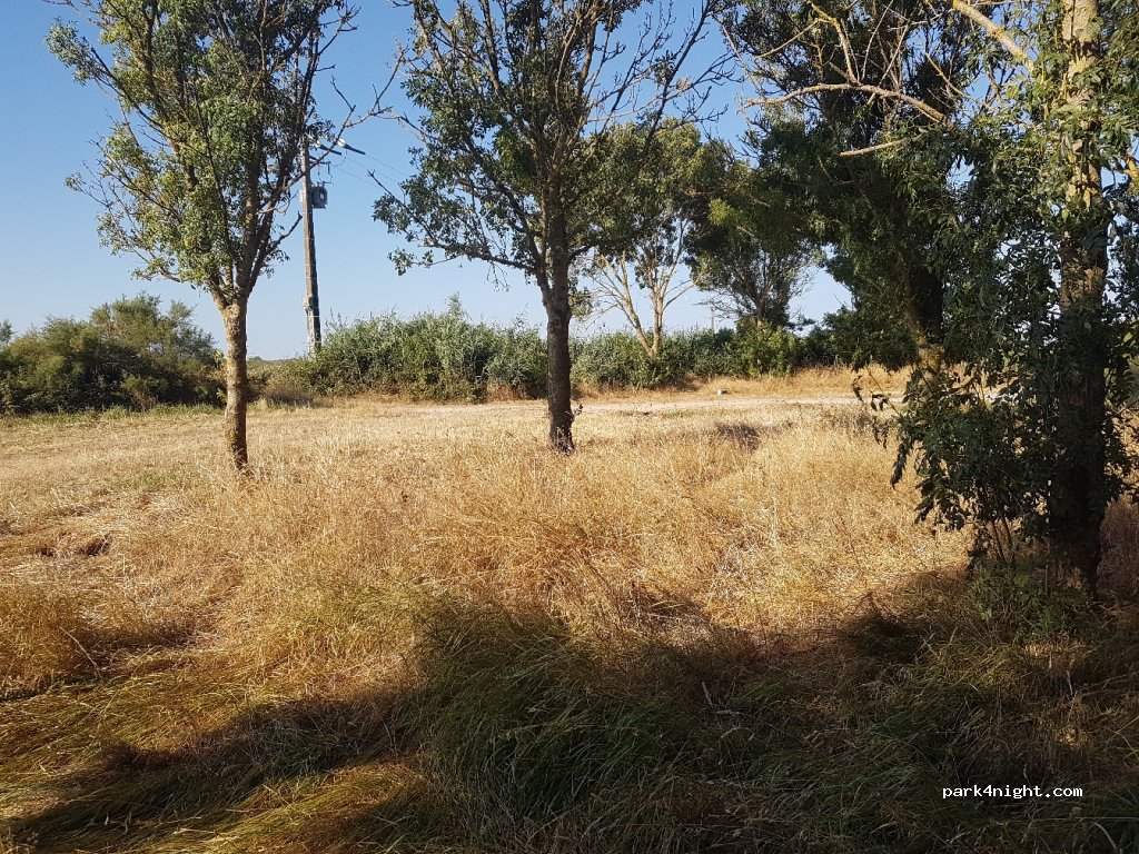 (17780) Moëze - Unnamed Road — foto