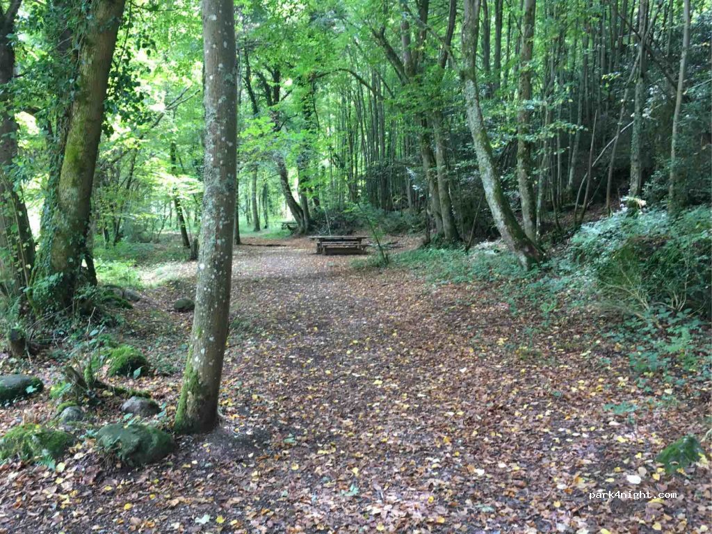 (09400) Capoulet-et-Junac - 11 D8 — foto 4