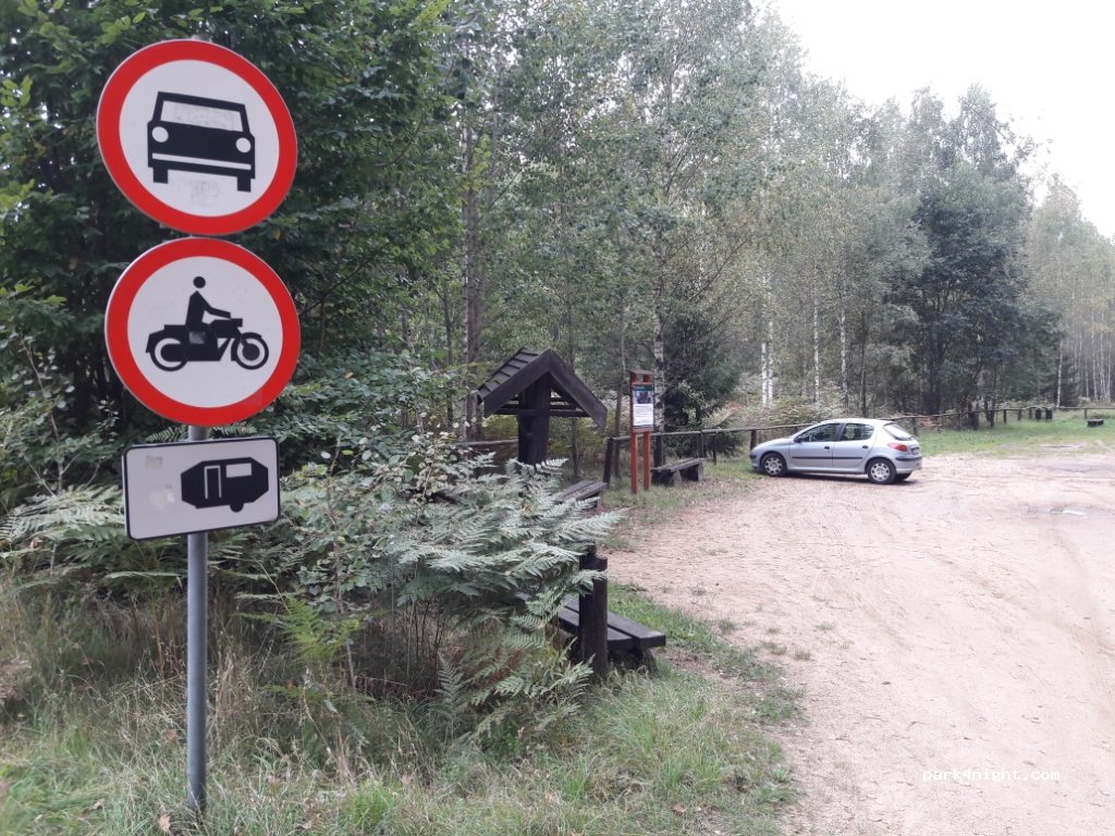 (17-230) Białowieża - Unnamed Road — foto