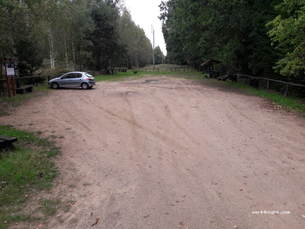 (17-230) Białowieża - Unnamed Road — foto 2