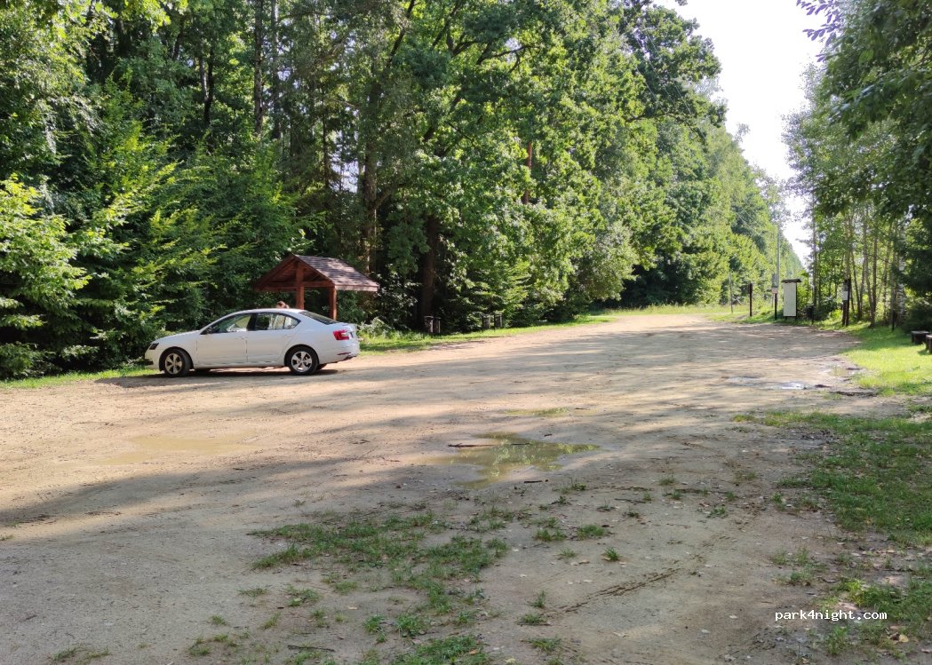 (17-230) Białowieża - Unnamed Road — foto 3