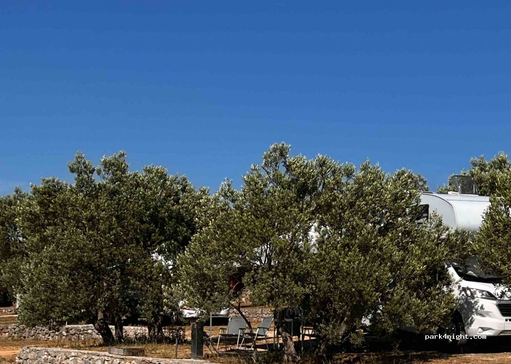 Camp Romantika — foto 2
