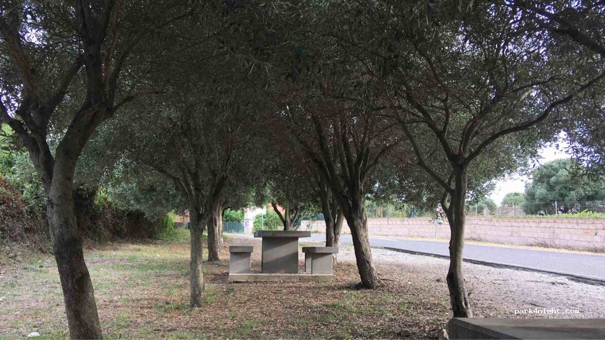 (08010) Magomadas - Strada Comunale Magomadas - Turas — foto