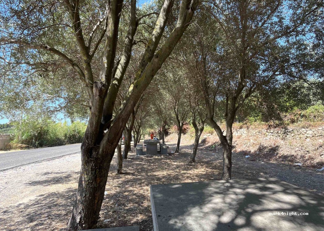 (08010) Magomadas - Strada Comunale Magomadas - Turas — foto 4