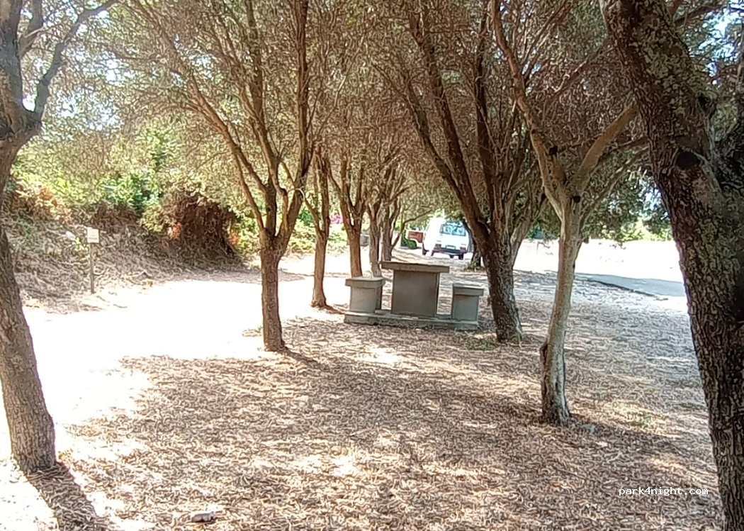 (08010) Magomadas - Strada Comunale Magomadas - Turas — foto 5