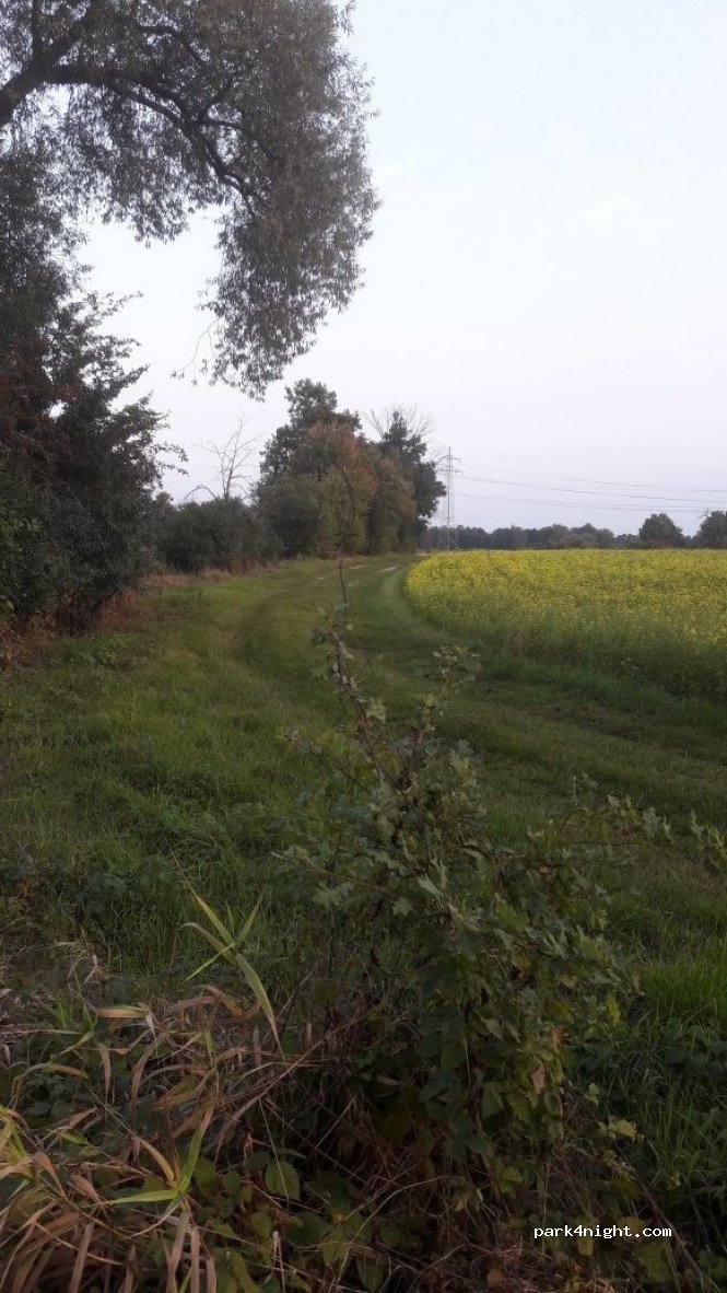 (92421) Schwandorf - Unnamed Road — foto 2