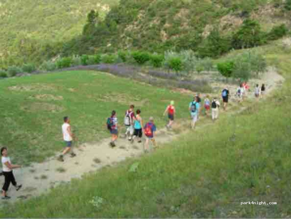 The Chambron Camping & Gîtes — foto 4