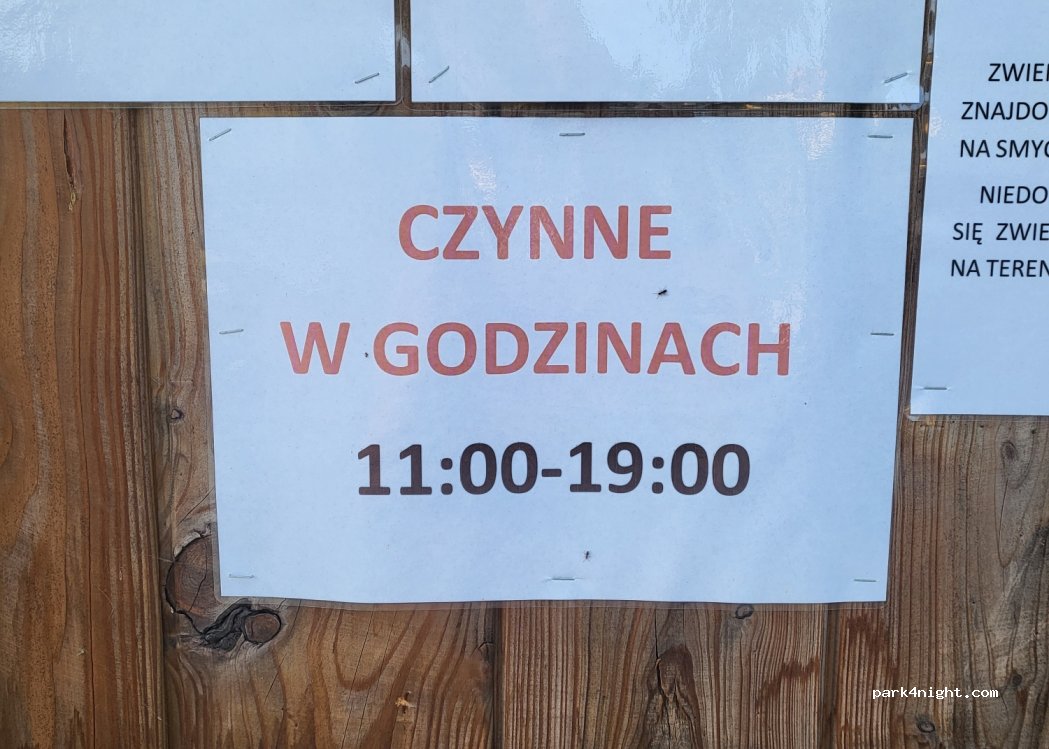 Pole namiotowo-campingowe Jezioro Wielgie — foto 3