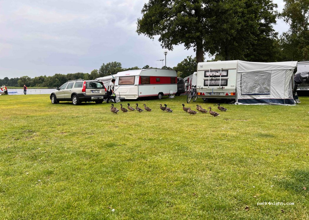Jägersbo Camping — foto 2