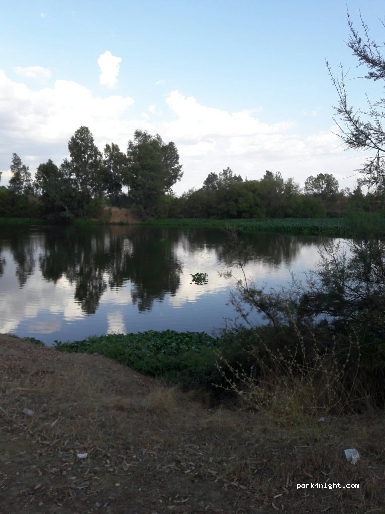 (06893) San Pedro de Mérida - Unnamed Road — foto