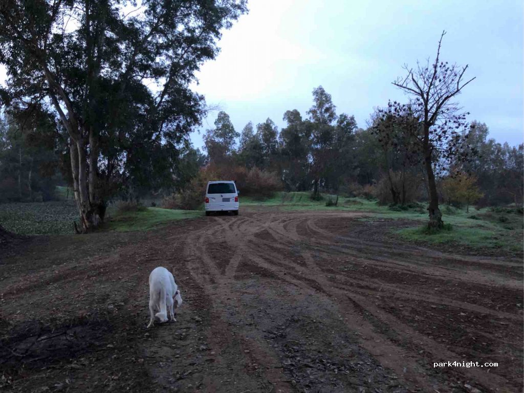 (06893) San Pedro de Mérida - Unnamed Road — foto 4