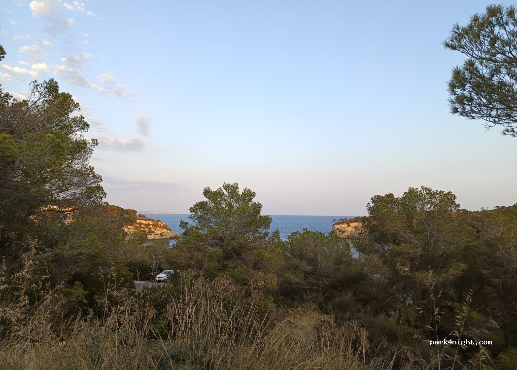 (07181) Sol de Mallorca - 44 Avinguda Portals Vells — foto 5
