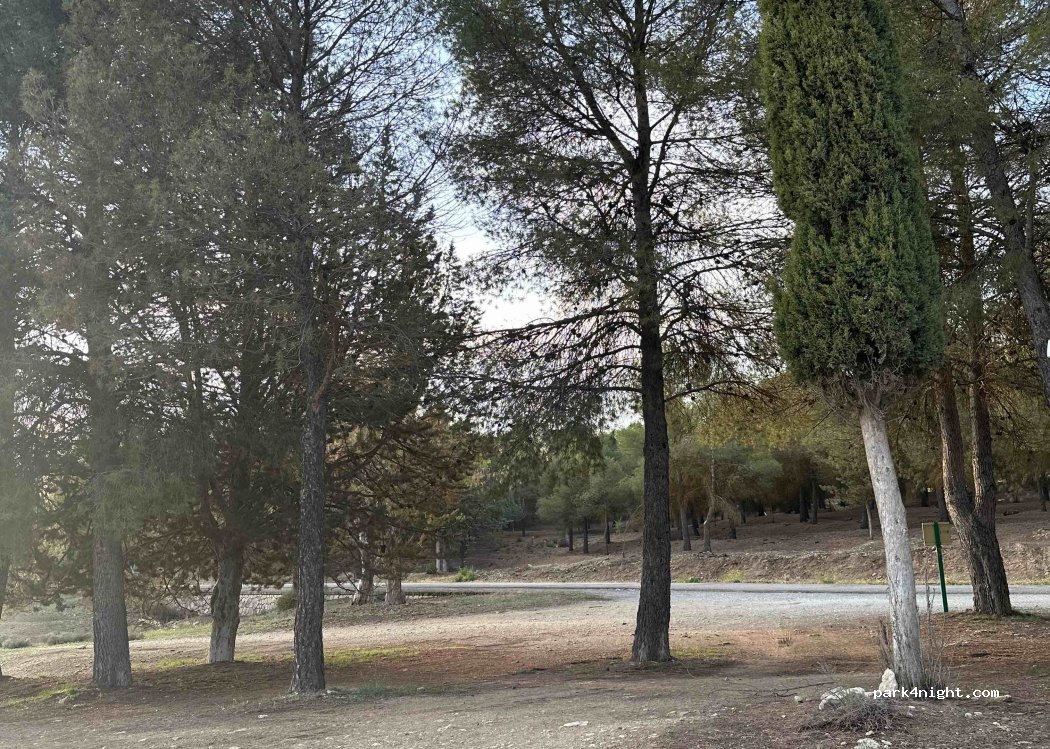 (18126) Arenas del Rey - GR-4302 — foto 2