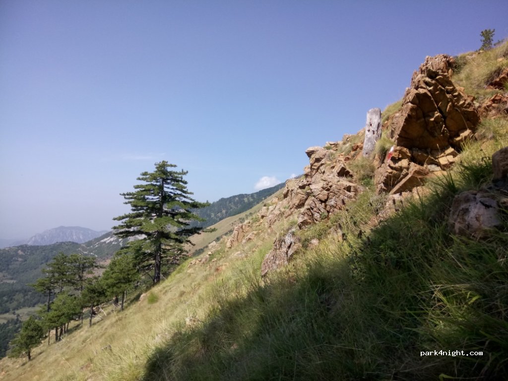 () Cudhi-Kampt - SH38 — foto 3