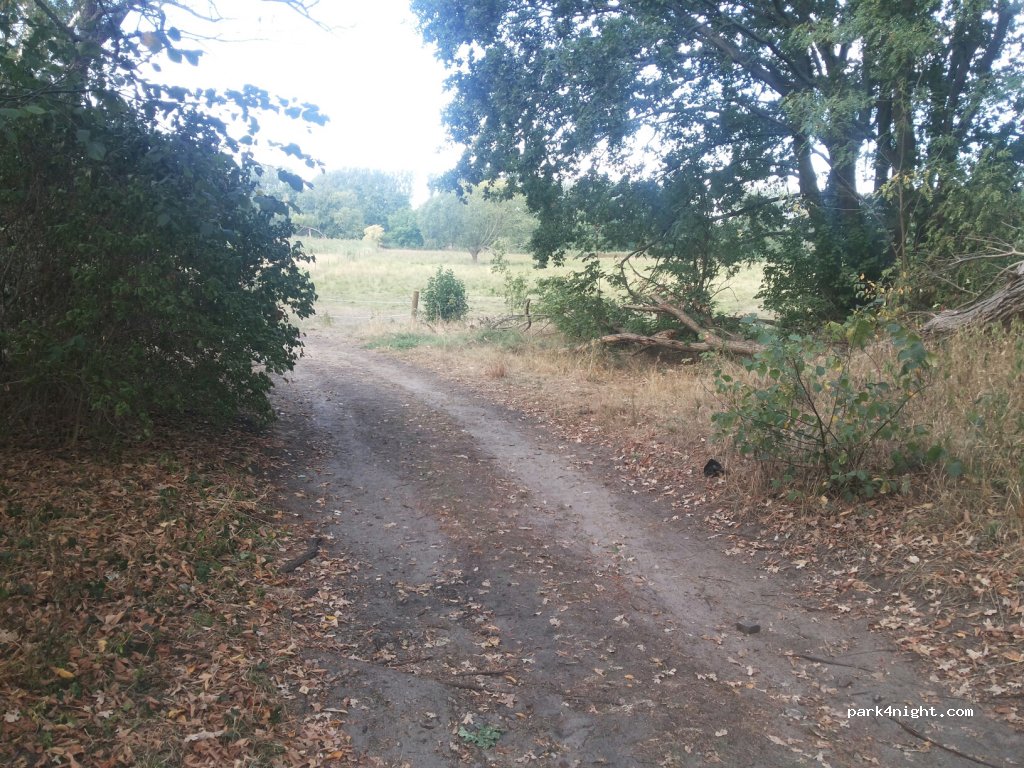 (14480) Potsdam - 5A Trebbiner Straße — foto 2