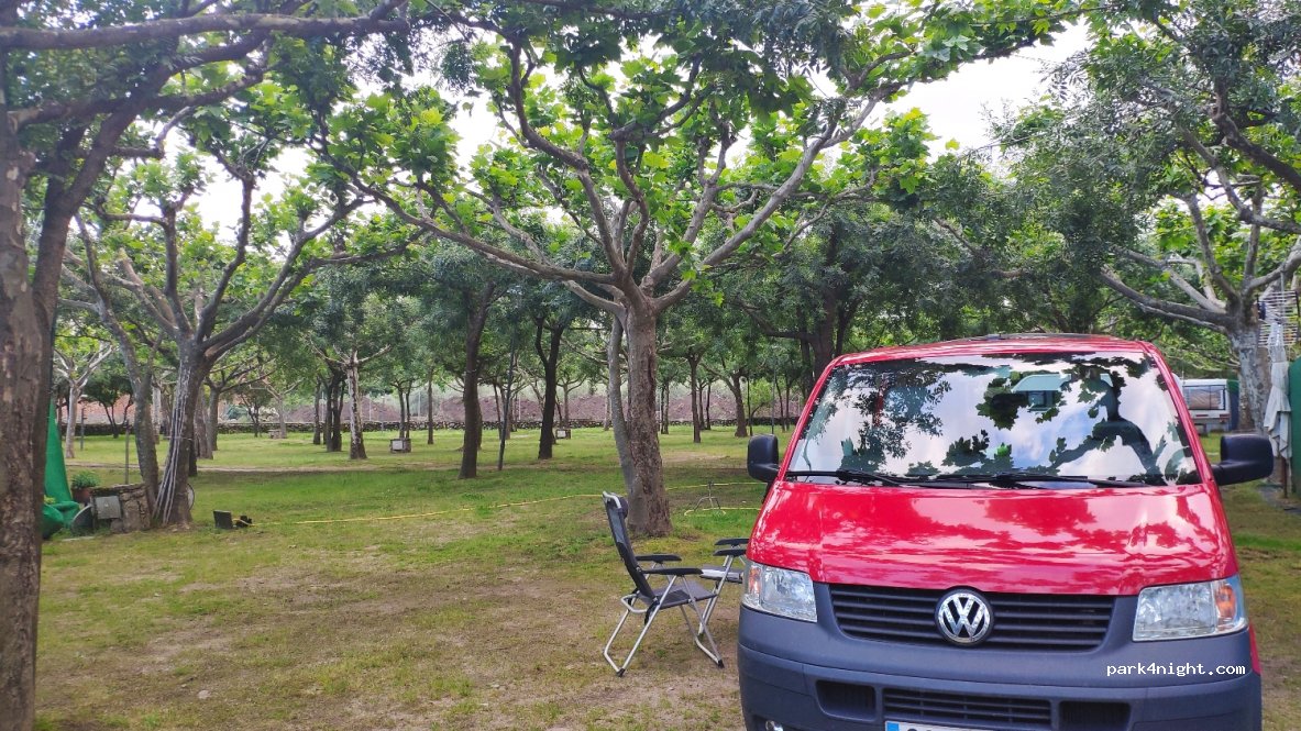 CAMPING - BUNGALOWS COMPLEJO TURISTICO LA MATA — foto