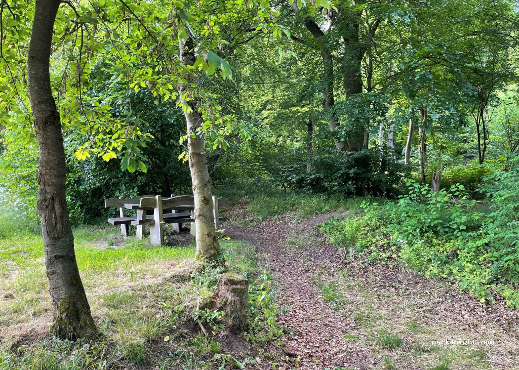 (34466) Wolfhagen - Reinhard von Dalwigk Weg — foto 2