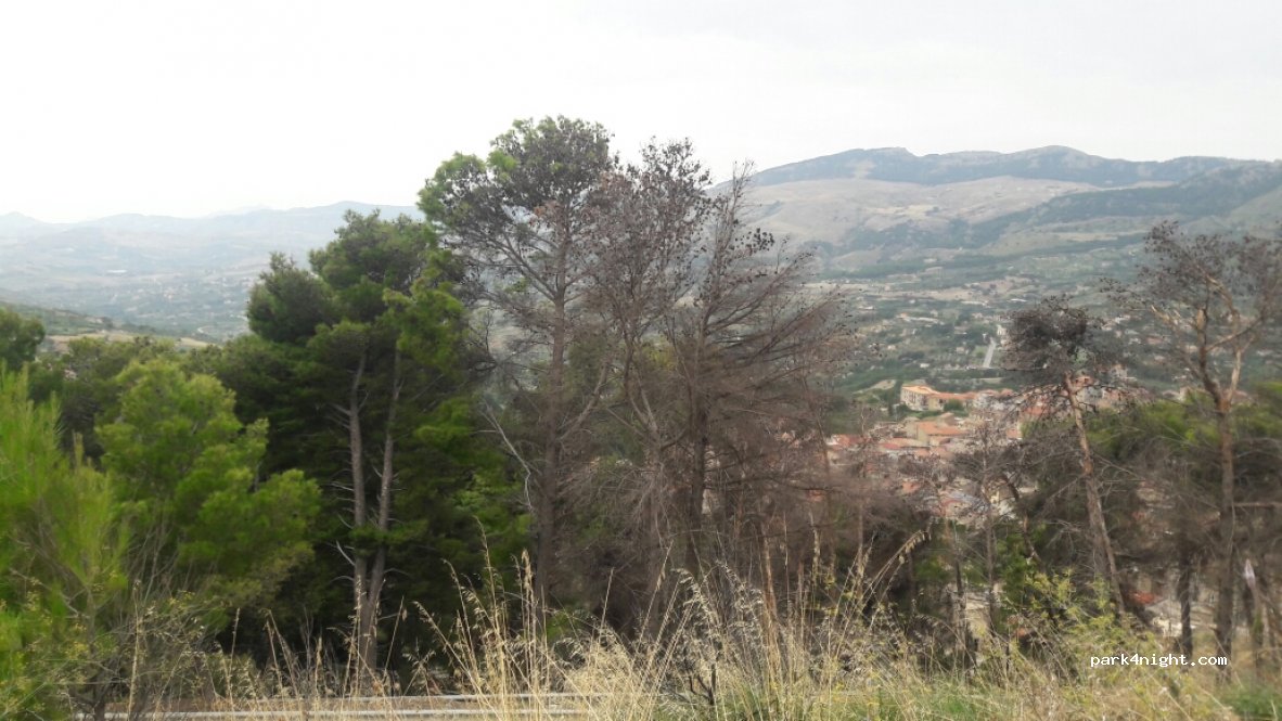 (92020) Santo Stefano - 74 Strada Statale 118 — foto 2