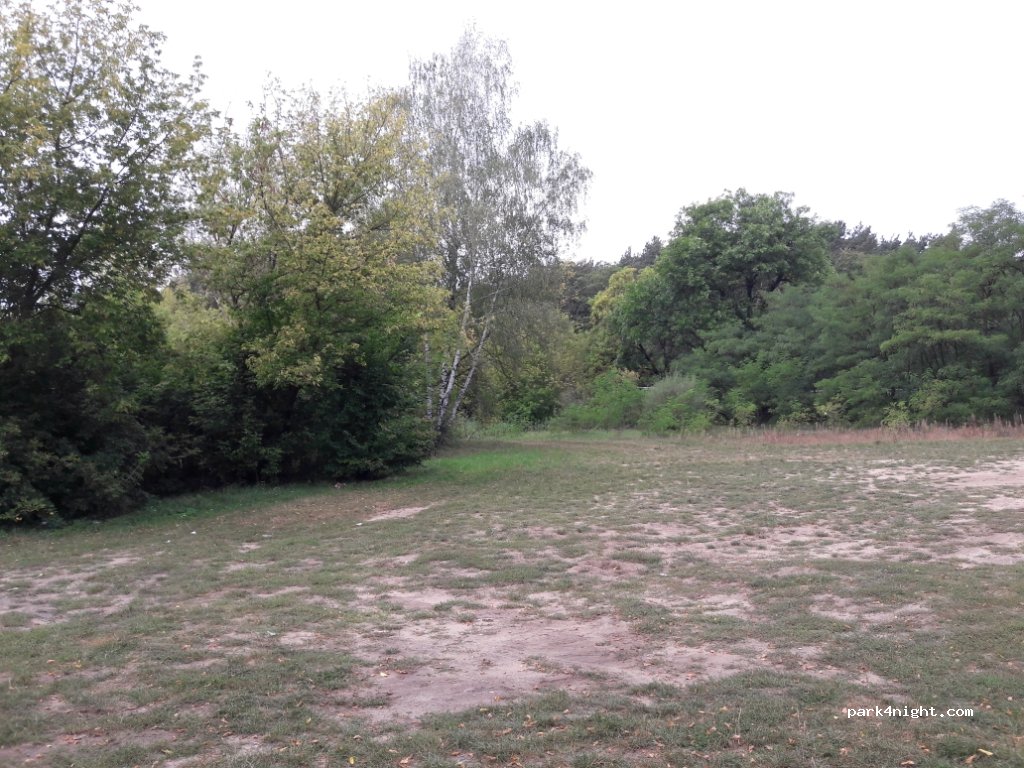 (07-323) Gąsiorowo - Droga Wojewódzka 694 — foto 2