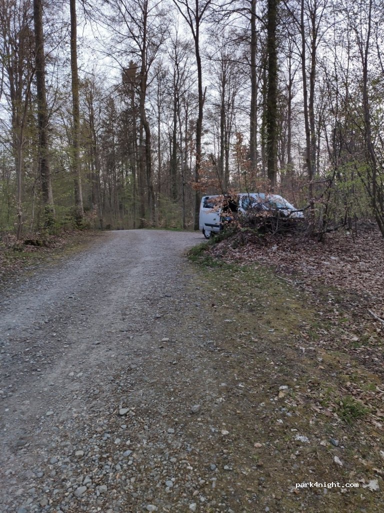 (88250) Weingarten - 3/2 Nessenreben — foto