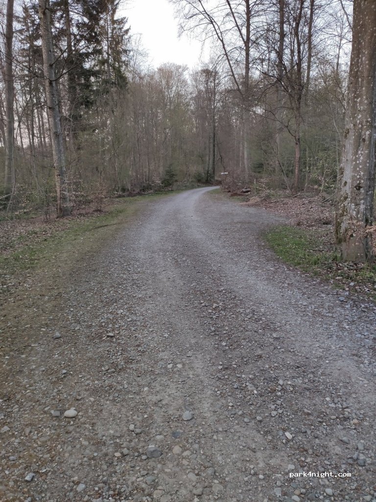 (88250) Weingarten - 3/2 Nessenreben — foto 2