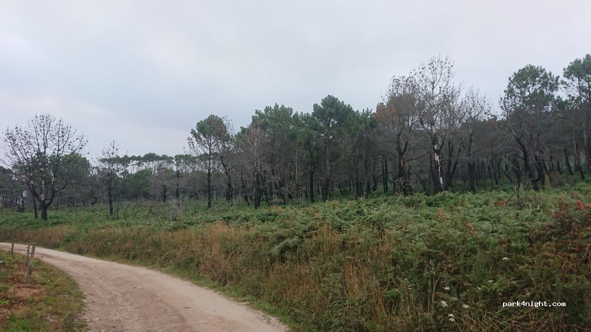 (15594) Ferrol - 97 Aldea Covarradeiras — foto