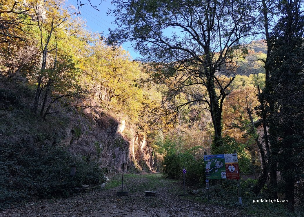 (81540) Durfort - Route de Malamort — foto 2