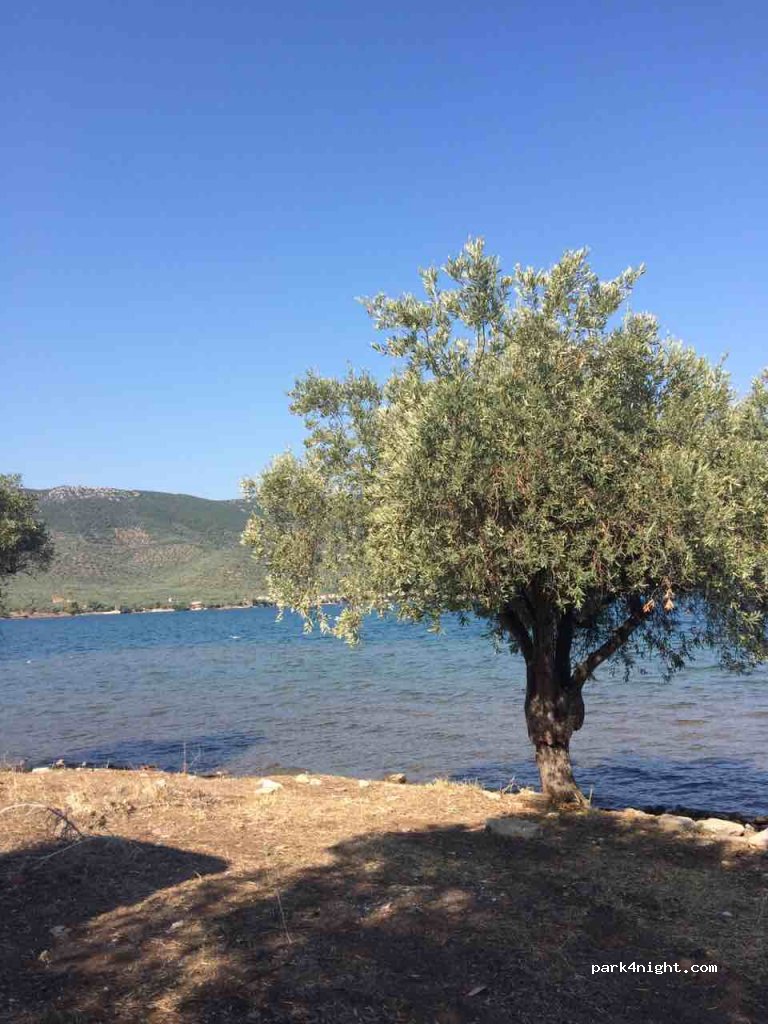 (370 08)  - Eparchiaki Odos Sourpis-Ormou Nion — foto