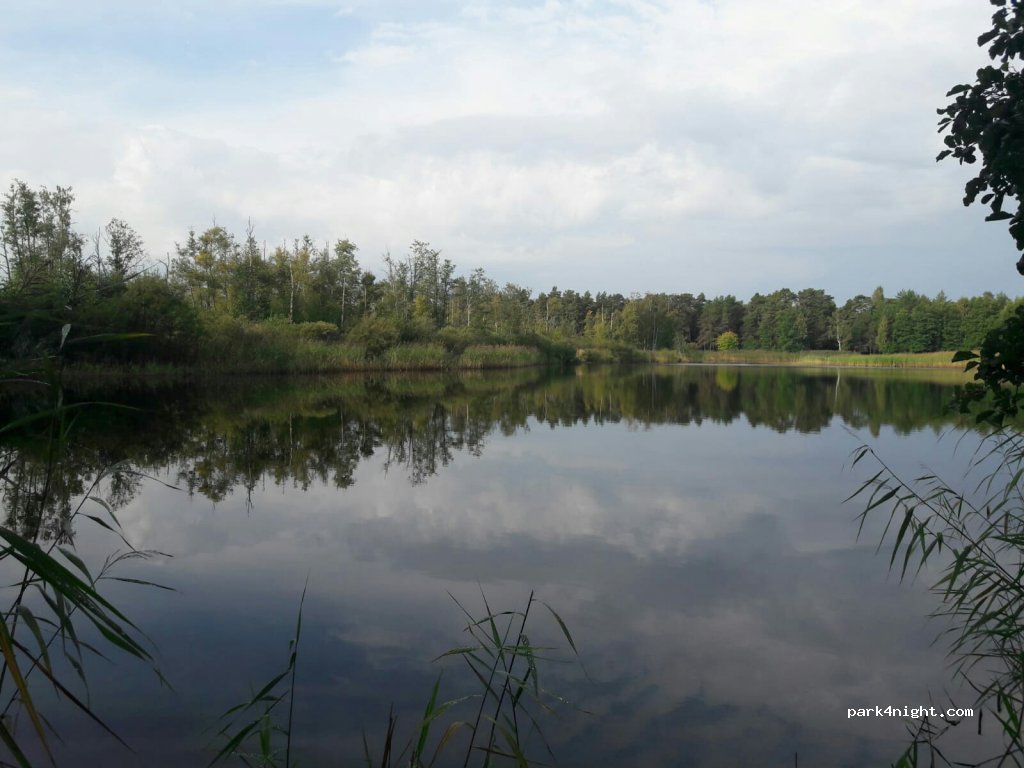 (74211) Kaberneeme - Metsaveeru tee — foto